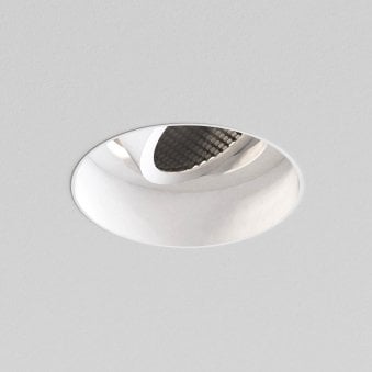 Trimless Round Adjustable Downlight in Matt White