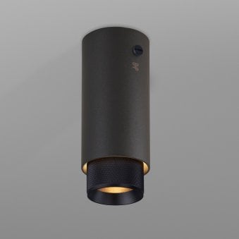 Exhaust Surface Mounted Downlight in a Graphite Finish with Black Detail