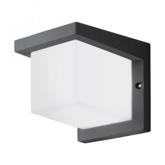 Desella 1 LED Exterior Wall Light in Anthracite