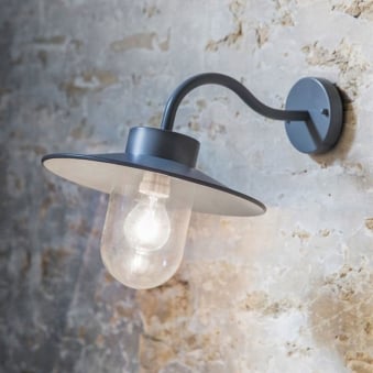 St Ives Swan Neck Exterior Wall Light in Charcoal