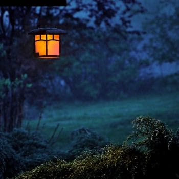 Outdoor Bug Lighting